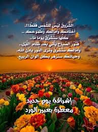 إشراقة يوم جديد معطرة بعبير الورد Morning Images Good Morning Wishes Morning Quotes