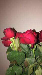 Pekmez Ersin Adli Kullanicinin Fake Flowers Panosundaki Pin 2020 Kavramsal Fotografcilik Guller Cicek