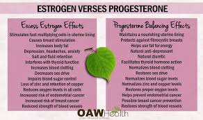 Estrogen dominance describes a condition where you can have normal or excessive estrogen, but have too little progesterone to balance estrogen's effects in your body. Estrogen Dominance Syndrome What You Need To Know Oawhealth
