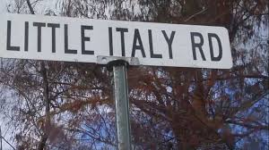 Parish officials offer reward in repeated street sign theft