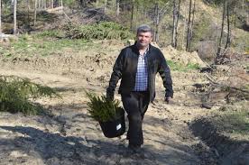 Državni sekretar na ministrstvu za okolje, vode in gozdarstvo evropska unija > svet evropske unije > predstavniki vlad držav članic > romunija. È™eful Ocolului Silvic Vama Inginerul Gelu Puiu Pentru A Doua OarÄƒ Secretar De Stat Mizez In Continuare Pe Profesionalism Suceavalive