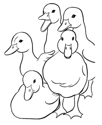Free printable ducks coloring page for kids. Get This Duck Coloring Pages A Lot Of Ducks Quaking