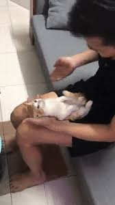 Says pdx, the creator of licki: Vietnamese Man Teaches His Son How To Bathe A Baby With A Cat