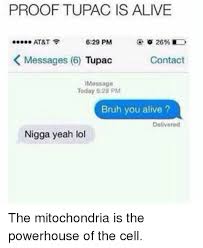 Mitochondria is the powerhouse of the cell. The Mitochondria Is The Powerhouse Of The Cell Tupac Shakur Meme On Me Me
