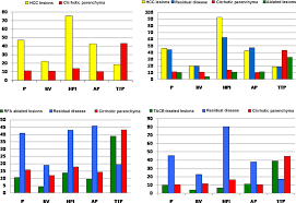 Tumour Related Neoangiogenesis Functional Dynamic Perfusion