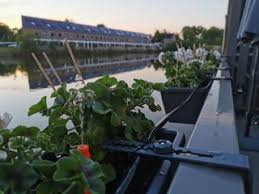 After you&amp;#39;ve set up the diy deck irrigation system, you can quickly and easily water your containers of herbs, flowers, and other plants with ease. Smart Wifi Controlled Irrigation System Using Home Assistant And Esphome 7 Steps With Pictures Instructables
