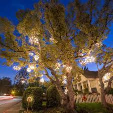 Westelm.com has been visited by 100k+ users in the past month The Story Of The Magical Chandelier Tree Of Silver Lake Curbed La