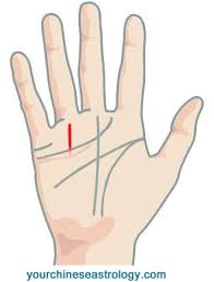 Sun Line Apollo Line Palm Reading Chinese Palmistry Palm Reading Palmistry Palmistry Reading