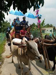 We would like to show you a description here but the site won't allow us. Kereta Lembu Untuk Di Sewa Postingan Facebook