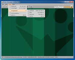 Acdsee Free Download