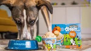 Bone Appetit Ben Jerry S Is Now Making Dog Treats In 2021 Frozen Dog Frozen Dog Treats Dog Treats