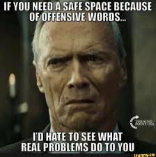 If You Need Safe Space Because Words I D Hate To See What Real Problems Do To You