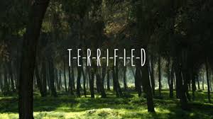 57,853 views, added to favorites 5,698 times. Have Du Read The Forest Fic Twenty One Pilots Fanpop
