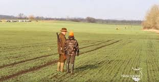 Lázár jános az index kérdésére elmondta, hogy lázár szerint ezért semmiféle ellentmondás nincsen a vagyonnyilatkozatában szereplő adatok és a vadászat felmerülő költségei között. Orszagos Jotekonysagi Vadaszat Nonprofit Kft