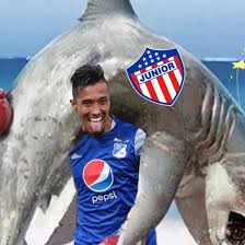 Jun 17, 2021 · el tolima ha sido dos veces campeón de la liga colombiana. Los Mejores Memes Tras La Victoria De Millonarios A Junior Por Semifinales De La Liga Betplay Dimayor Strikers Colombia Cracks