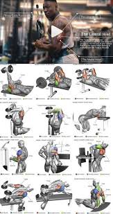 Pin On Aaa Esercizi Base Palestra
