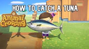 Tuna can reach almost 10 feet in length and weigh over 800 pounds. How To Catch A Tuna In Animal Crossing New Horizons Youtube