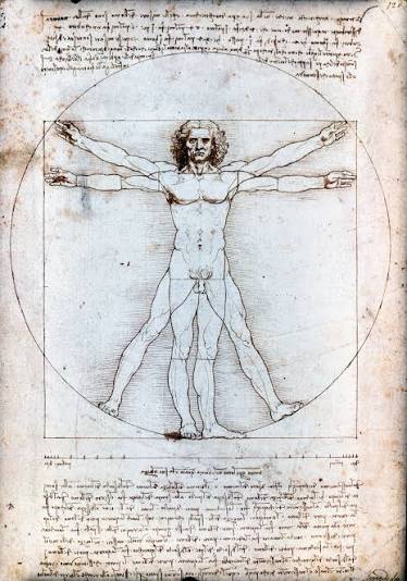Homme de Vitruve — Wikipédia