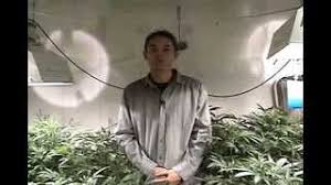 Check spelling or type a new query. Cdl Grow Light Philips 315w Agro More Crops Less Energy Youtube