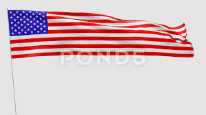 Long Flag Of United States Of America Animation With Alpha Channel Stock Footage States America United Long The Unit Flag Kindergarten Newsletter