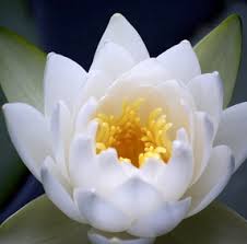 See reviews, articles, and photos of yoga shakti studio, ranked no.24 on tripadvisor among 40 attractions in stockholm. Anita Nivargikar Yoga Teacher In Tarpon Springs
