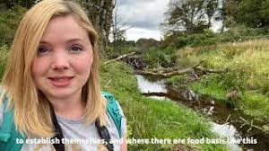 Cumbria Beaver Group
