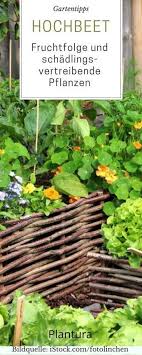 Hochbeet Bepflanzen Fruchtfolge Nutzliche Tipps Pflanzen Hochbeet Bepflanzen Und Garten Bepflanzen