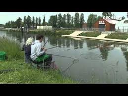 Video Peche Au Coup Dans Le Pas De Calais Youtube Peche Coups Peche A La Mouche