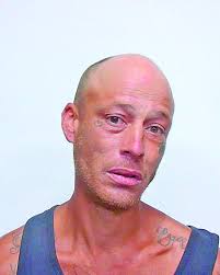 Puppy left fighting for life after severe abuse lands man in jail