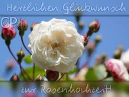 Jul 11, 2021 · whatsapp glückwünsche zur rosenhochzeit : Coolphotos De Grusskarten Rosenhochzeit 10 Regional 5