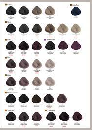 La nueva generación del color tono sobre tono. Cartela De Cores Evolution Of The Color By Alfaparf Milano Issuu