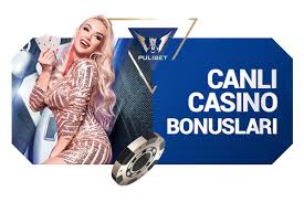 Pulibet 2020 Populer Game Art Poker