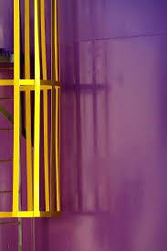 Red, purple and yellow orchid head. Step Up Yellow Violet Purple Yellow Purple Aesthetic
