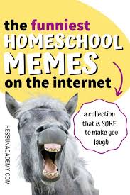 The Best Funny Homeschool Memes And Quotes Of 2020 Homeschool Memes Homeschool Quotes Homeschool Quotes Funny These quotes about homeschooling will get you laughing, and thinking about the ironies of. homeschool memes homeschool quotes