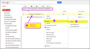 How to use google drive. What Steps Can I Take To Add A Link To My Cv From Google Drive Quora