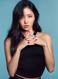 Hwasa facts and ideal type stage name: Hwasa Bio Net Worth Dating Boyfriend Mamamoo Kpop Daughter Facts Wiki Nationality Age Height Weight Measurements Personal Life Career Gossip Gist