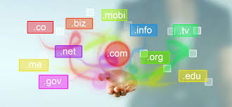 Make Sure That When Choosing A Domain Name For Your Website Select Short Names As Shorter Domain Names Are Better T Create Website Names Professional Website