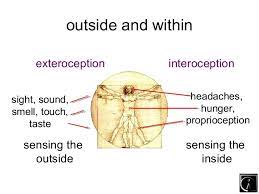 Proprioception Nociception Exteroception Interoception What Do They All Mean Musicians Health Collective