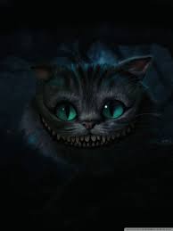 Google has many special features to help you find exactly what you're looking for. Cat Phone Wallpapers Top Free Cat Phone Backgrounds Wallpaperaccess