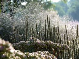 Pin On Gardens Of Piet Oudolf