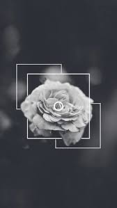 Aesthetic Black And White Flower Background Flowers Background And Rose Image Iphone Wallpaper Art Wallpaper Aesthetic Wallpapers