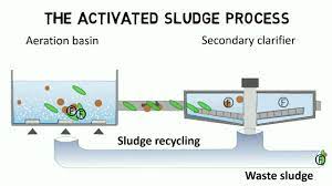 Activated Sludge Process And Ifas Design Rules Guideline Youtube