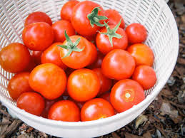 Check spelling or type a new query. This Is The Best Way To Freeze Fresh Tomatoes Garden Betty