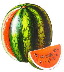 Watermelon Png Image Watermelon Clip Art Wedding Frames