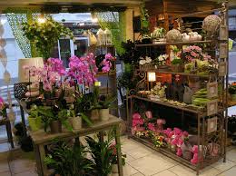 L Atelier Nature Fleuriste A La Mothe Achard En Vendee Magasins De Fleurs Fleuriste Fleurs