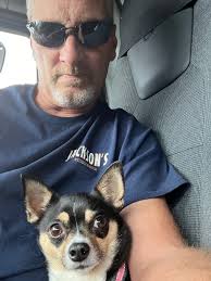 Profile for The Adventures of Zoey the Chihuahua