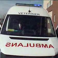 Antalya Da Sahipsiz Hayvanlar Icin Ambulans Hizmette