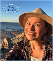 Allergy-friendly plants for Vermont home garden