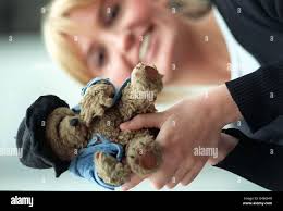 Covelli hi-res stock photography and images