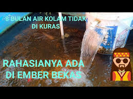 Intinya air kolam dialirkan ke kolam penyaringan (filter) kemudian dialirkan kembali ke kolam ikan. Tips Agar Air Kolam Tetap Jernih Dari Barang Sederhana Litetube